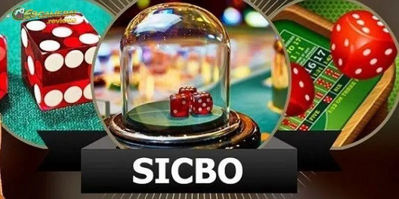 Các cửa cược phổ biến của game Sicbo trực tuyến